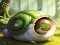 Rescue The Fantasy Snail — 無料オンラインゲーム