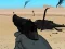Weapon — 無料オンラインゲーム