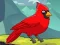 Rescue The Northern Cardinal — 無料オンラインゲーム