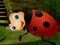 Rescue The Couple Bug — 無料オンラインゲーム
