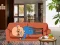 Wakeup The Grandpa — 無料オンラインゲーム