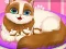 Cute Kitty Pregnant — 無料オンラインゲーム