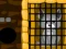 Grey Dog Rescue — 無料オンラインゲーム