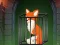Fox in the Forgotten Ruins — 無料オンラインゲーム