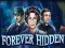Forever Hidden — 無料オンラインゲーム