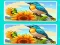 ゲームSpot the Difference The Gardenオンライン