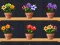 Good Flower Master — 無料オンラインゲーム