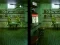Robot Bar Spot the differences — 無料オンラインゲーム