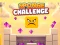 Sponge Challenge — 無料オンラインゲーム