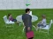 Millionaire Simulator 2024 — 無料オンラインゲーム