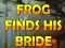 Frog Finds His Bride — 無料オンラインゲーム