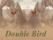 ゲームDouble Birdオンライン
