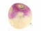 Turnip — 無料オンラインゲーム