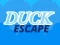 Duck Escape — 無料オンラインゲーム