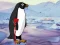 Heal the Wounded Penguin — 無料オンラインゲーム