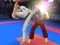 Karate Fighter — 無料オンラインゲーム