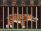  Andrewsarchus Release from Cage — 無料オンラインゲーム