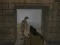Silent Asylum 2 — 無料オンラインゲーム