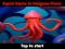Squid Game In Dalgona Panic — 無料オンラインゲーム