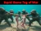 Squid Game Tug Of War — 無料オンラインゲーム