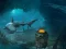 Jumping Dolphin Rescue — 無料オンラインゲーム