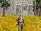Axe Of The Ancients Dwarven Fury — 無料オンラインゲーム