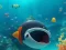 Escape The Shark Cage — 無料オンラインゲーム