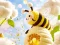 Find The Differences: Little Bee's Adventure — 無料オンラインゲーム