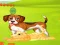 Bunny Key Quest — 無料オンラインゲーム