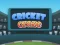 Cricket Craze — 無料オンラインゲーム