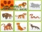 Wild Animals Kids Memory game — 無料オンラインゲーム