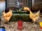 Poultry Farm Easter Escape — 無料オンラインゲーム