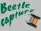 ゲームBeetle Captureオンライン