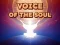 ゲームVoice Of The Soulオンライン