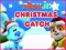 Nick Jr. Christmas Catch — 無料オンラインゲーム