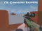ゲームCS: Command Snipersオンライン