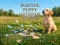 ゲームPlayful Puppy Outdoor Puzzleオンライン