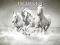 Horses Puzzle — 無料オンラインゲーム