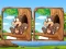 Jungle 5 Diffs — 無料オンラインゲーム