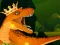 The Dino King — 無料オンラインゲーム