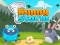 Bunny Storm — 無料オンラインゲーム