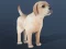IDLE Pet — 無料オンラインゲーム