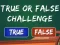 ゲーム True Or False Challengeオンライン