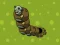 Zombie Worms — 無料オンラインゲーム