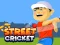Street Cricket — 無料オンラインゲーム