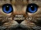 Find the Ghost Cat — 無料オンラインゲーム