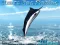 Azure Sea Fishing — 無料オンラインゲーム