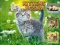 Kittens Jigsaw — 無料オンラインゲーム