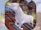 Angry Goat Wild Animal Rampage — 無料オンラインゲーム