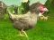 Chicken Shooter — 無料オンラインゲーム